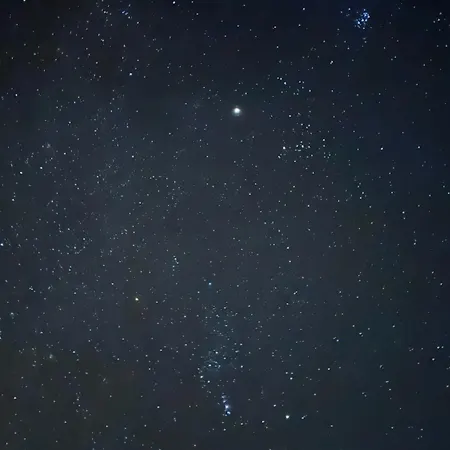 Pineview * برونلاغ